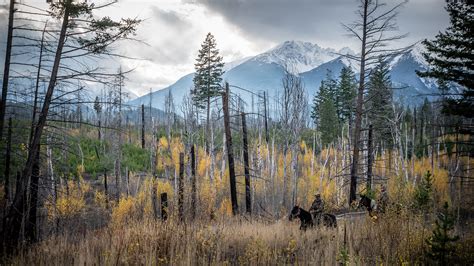 Visit British Columbia's Land Without Limits .